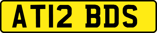 AT12BDS