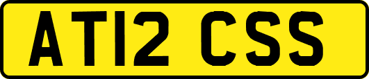 AT12CSS