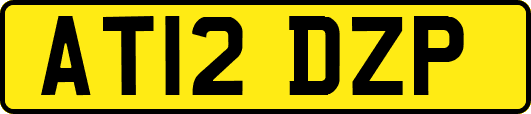 AT12DZP