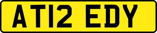 AT12EDY