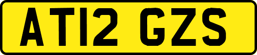 AT12GZS