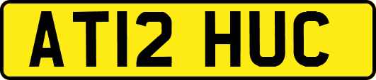 AT12HUC