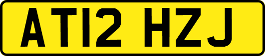 AT12HZJ