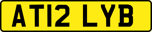 AT12LYB