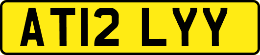 AT12LYY