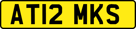 AT12MKS