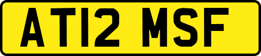 AT12MSF