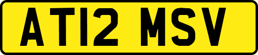 AT12MSV