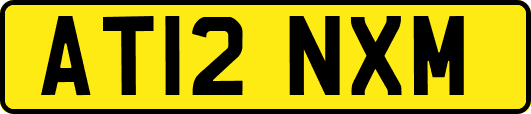 AT12NXM