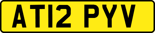 AT12PYV