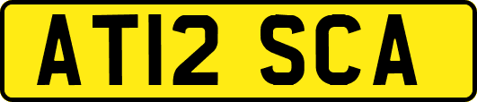 AT12SCA