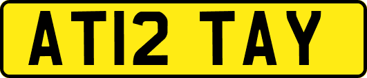 AT12TAY