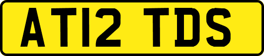 AT12TDS