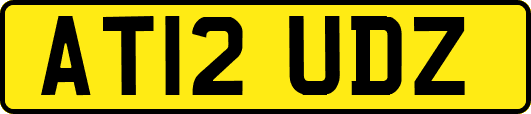 AT12UDZ