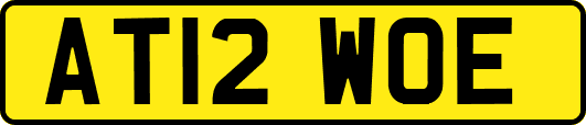 AT12WOE