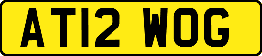 AT12WOG