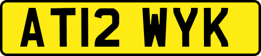 AT12WYK