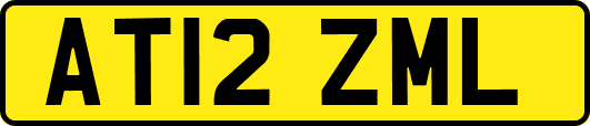 AT12ZML