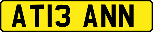 AT13ANN