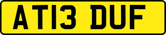 AT13DUF