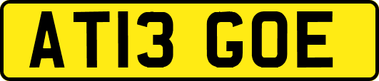 AT13GOE