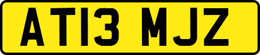 AT13MJZ