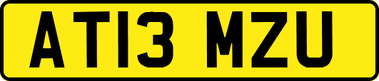 AT13MZU
