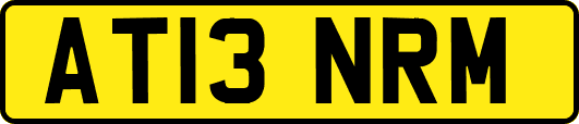 AT13NRM