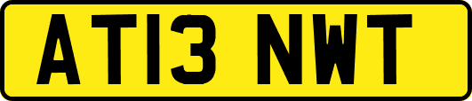 AT13NWT