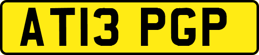 AT13PGP
