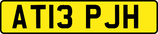 AT13PJH
