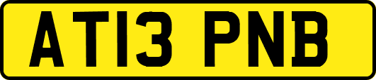 AT13PNB