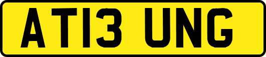 AT13UNG