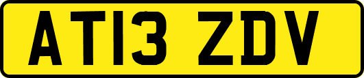 AT13ZDV