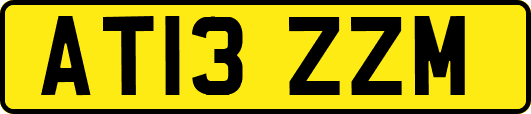 AT13ZZM