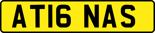 AT16NAS