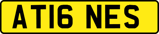 AT16NES