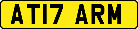 AT17ARM