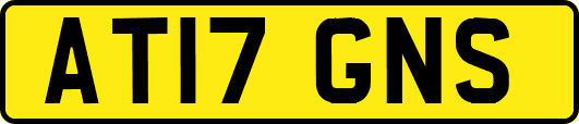 AT17GNS