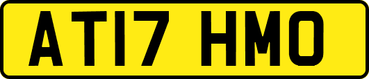 AT17HMO