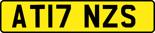 AT17NZS