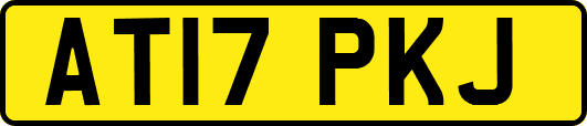 AT17PKJ
