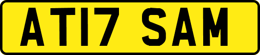 AT17SAM