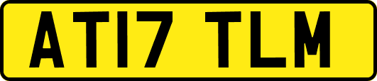 AT17TLM
