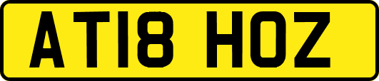 AT18HOZ