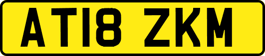 AT18ZKM