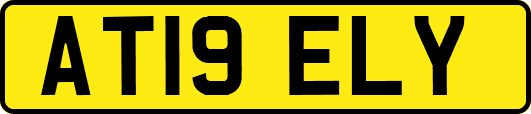 AT19ELY