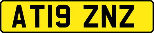 AT19ZNZ
