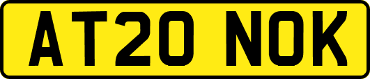 AT20NOK