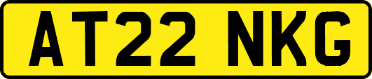 AT22NKG
